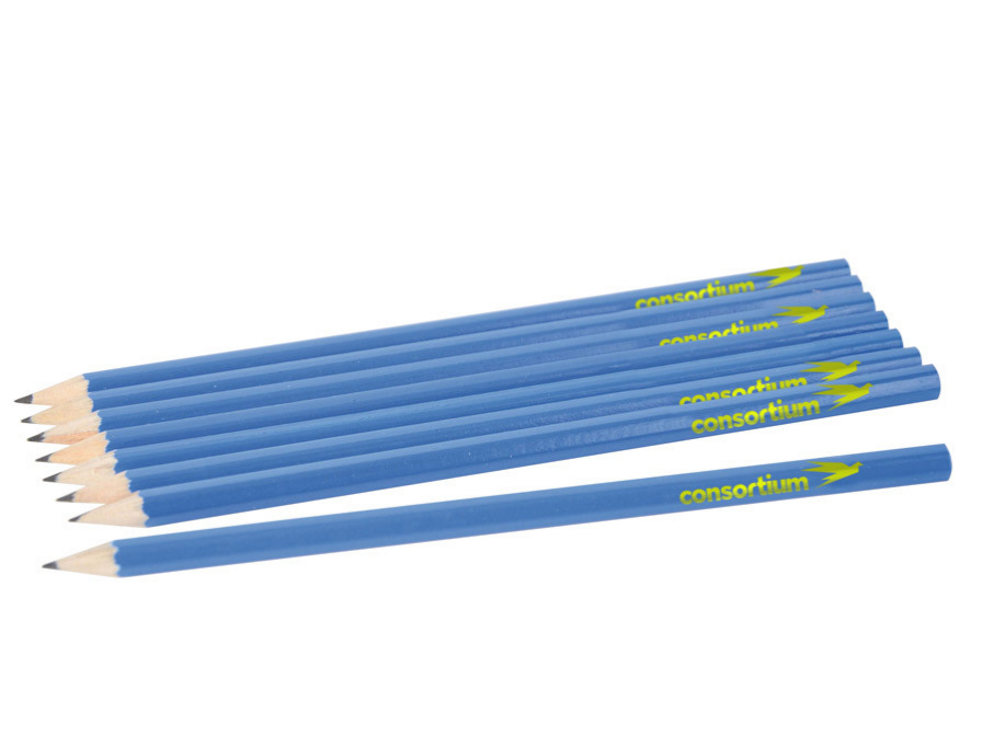 Schoolstoreng Ltd | Consortium Pencils - Pack of 12